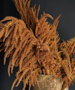 100 Pastel Autumn's Touch Amaranthus Flower Seeds - Bronze Coral Apricot - Image 9