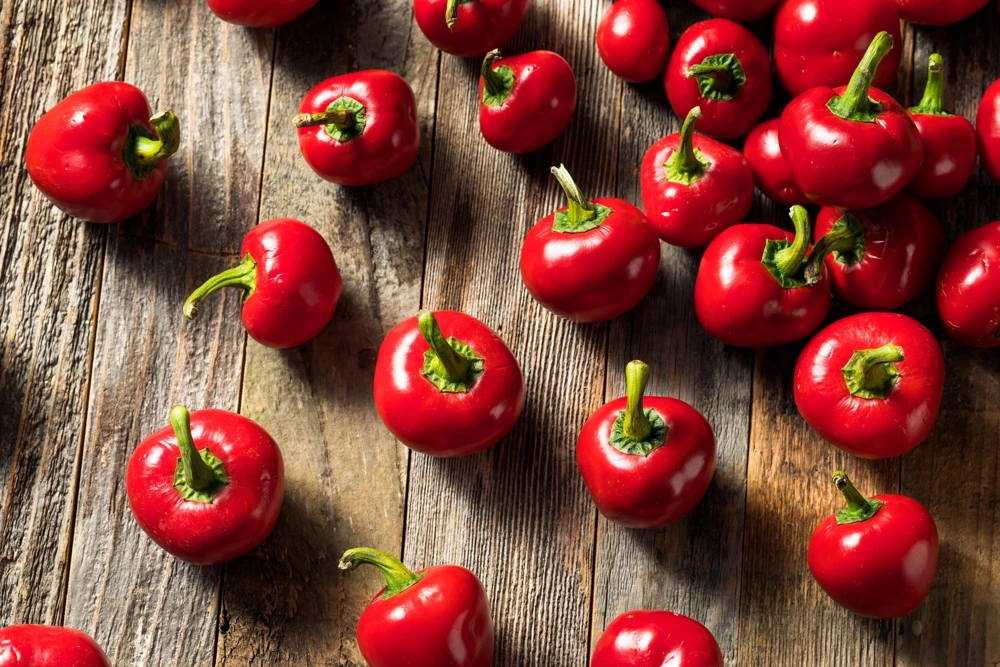 100 Red Cherry Hots Pepper Seeds - Capsicum Annuum Vegetable Seeds for Planting - Image 4