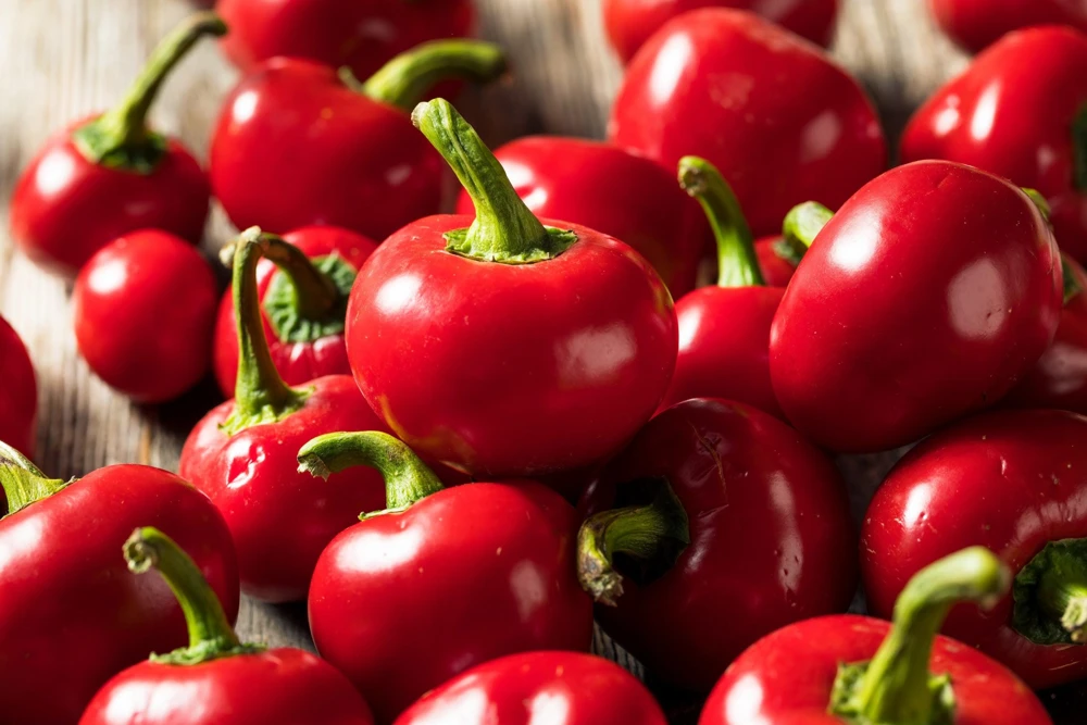 100 Red Cherry Hots Pepper Seeds - Capsicum Annuum Vegetable Seeds for Planting - Image 5