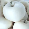 100 White Ghost Apple Tree Seeds - Edible Fruit Seeds, Ready to Grow - Image 1