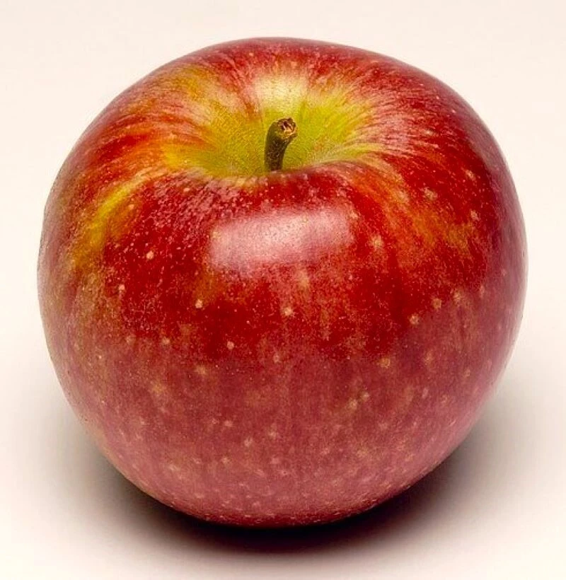 100 Winesap Apple Tree Seeds - Heirloom Apple Seeds for Planting - Image 1