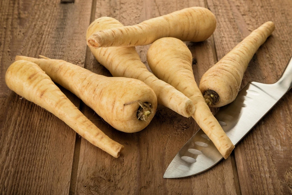 1000 Parsnip Improved Hollow Crown Seeds - White Root Vegetable - Image 6