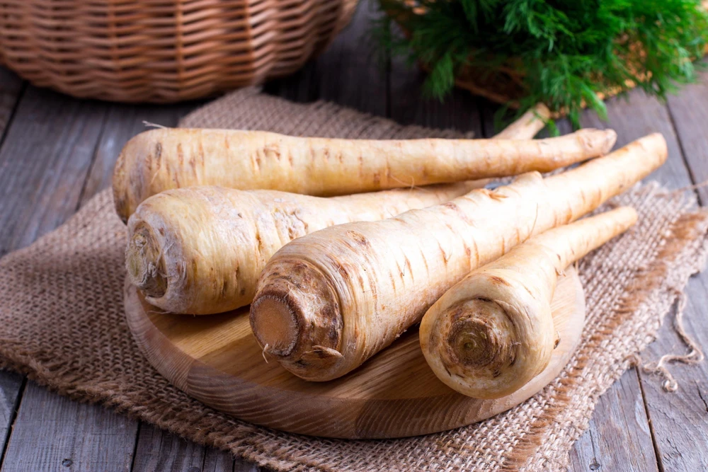 1000 Parsnip Improved Hollow Crown Seeds - White Root Vegetable - Image 7