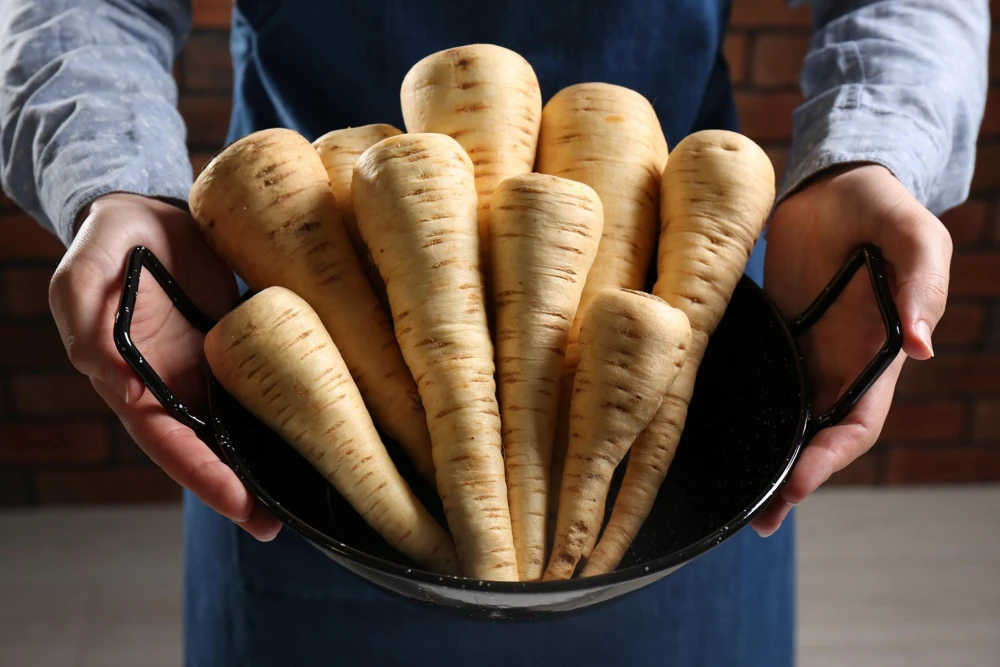 1000 Parsnip Improved Hollow Crown Seeds - White Root Vegetable - Image 1