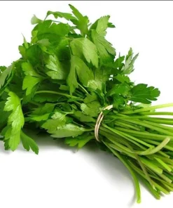 1000 Vietnamese Large Leaf Coriander Seeds - Cilantro Seeds for Planting - Image 2