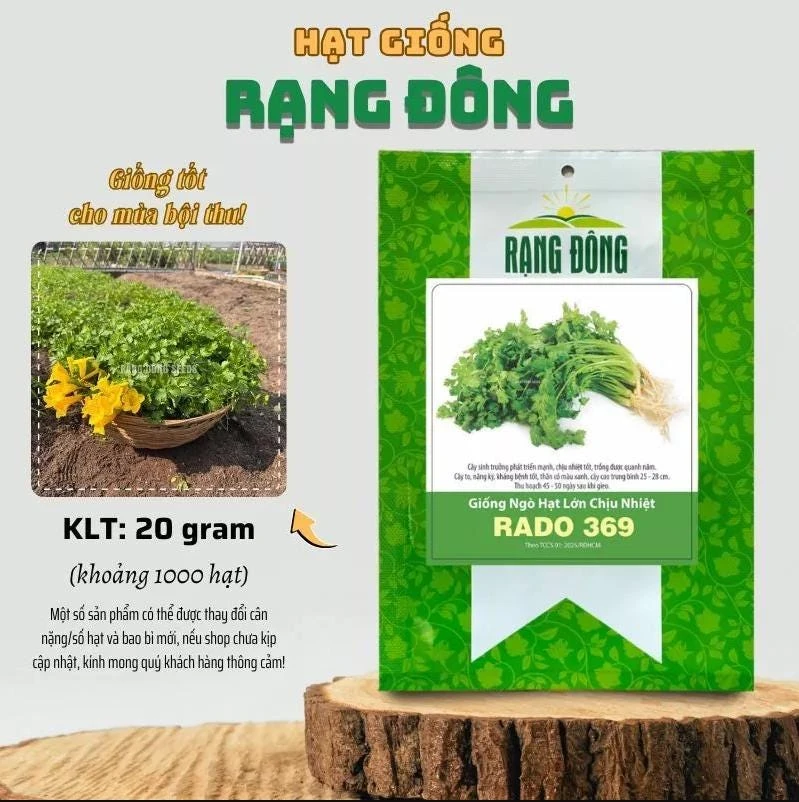 1000 Vietnamese Large Leaf Coriander Seeds - Cilantro Seeds for Planting - Image 3