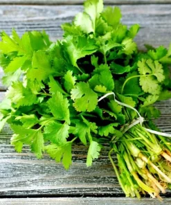 1000 Vietnamese Large Leaf Coriander Seeds - Cilantro Seeds for Planting - Image 4
