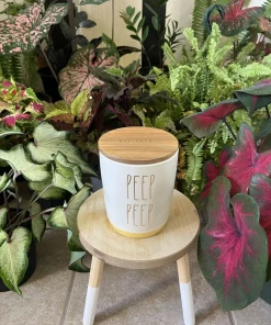 14 oz Ceramic Mug with Lid - White Coffee Cup - Image 11