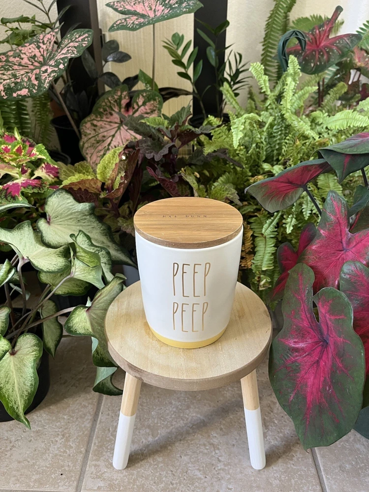 14 oz Ceramic Mug with Lid - White Coffee Cup - Image 11