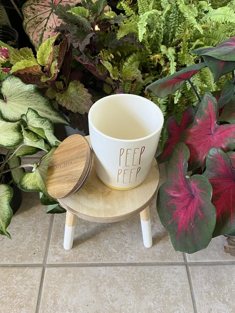 14 oz Ceramic Mug with Lid - White Coffee Cup - Image 12