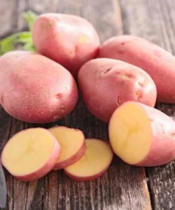 140 Mix Potato Seeds for Planting - Heirloom Vegetable Seeds - Image 3