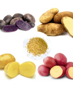 140 Mix Potato Seeds for Planting - Heirloom Vegetable Seeds - Image 1