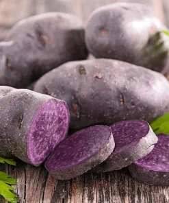 140 Purple Sweet Potato Seeds for Planting - Easy Grow Vegetable Seeds - Image 6