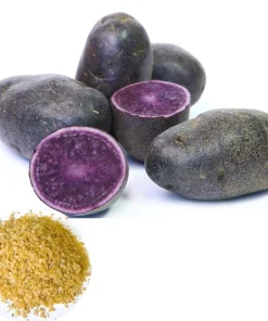 140 Purple Sweet Potato Seeds for Planting - Easy Grow Vegetable Seeds - Image 1
