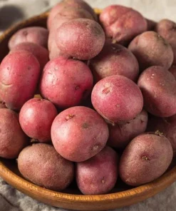 140 Red Potato Seeds – Easy Growing for Home Gardens - Image 5