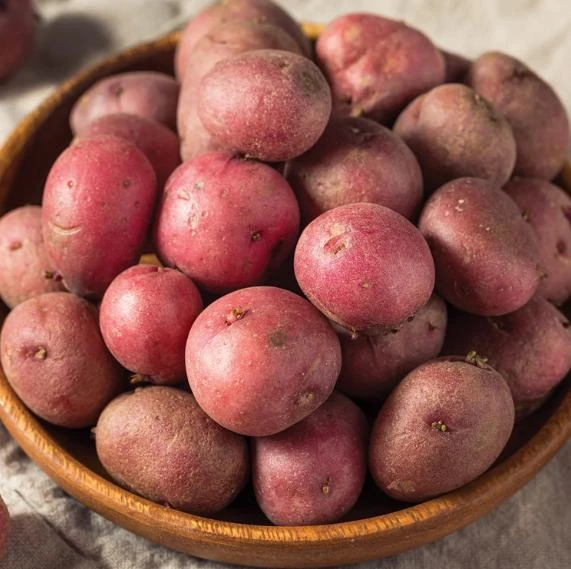 140 Red Potato Seeds – Easy Growing for Home Gardens - Image 5
