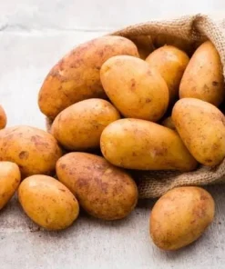 140 Russet Potato Seeds for Planting - Heirloom Vegetable Seeds - Image 5
