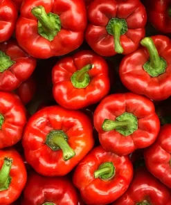 150 Yolo Wonder Sweet Red Bell Pepper Vegetable Seeds - High Yield - Image 4