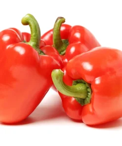 150 Yolo Wonder Sweet Red Bell Pepper Vegetable Seeds - High Yield - Image 5