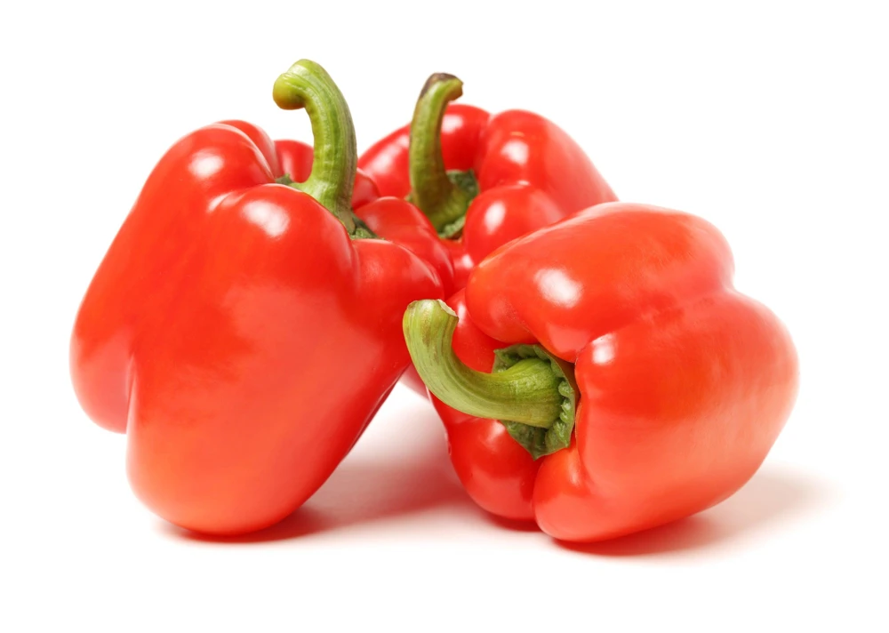150 Yolo Wonder Sweet Red Bell Pepper Vegetable Seeds - High Yield - Image 5