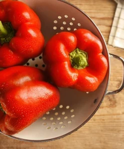 150 Yolo Wonder Sweet Red Bell Pepper Vegetable Seeds - High Yield - Image 6