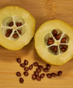 20 Culinary Quince Fruit Tree Seeds - Cydonia Oblonga Flowering Shrub - Image 9