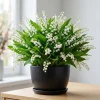 20 Lily of the Valley Bare Root Rhizomes - Fragrant White May Bells 4-6 Inch - Image 1