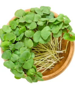 200 Organic Buckwheat Seeds - Ground Cover & Grain Crop - Image 8