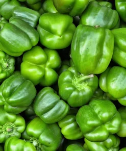 200 Sweet Green Bell Pepper Seeds - Capsicum Annuum Vegetable Seeds - Image 3