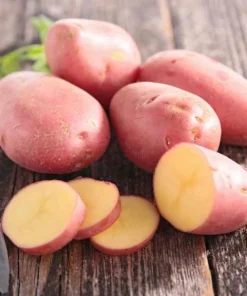 210 Red Potato Seeds Live for Planting, Red-Skinned Potato Seeds Easy for Growing from Seeds - Image 3