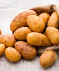 210 Russet Potato Seeds for Planting - Heirloom Vegetable Seeds - Image 2