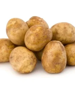 210 Russet Potato Seeds for Planting - Heirloom Vegetable Seeds - Image 3