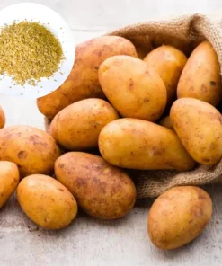 210 Russet Potato Seeds for Planting - Heirloom Vegetable Seeds - Image 1