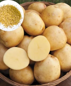 210 Yukon Gold Potato Seeds for Planting – Easy Grow Vegetable Seeds - Image 1