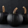 25 Black Pumpkin Seeds - Heirloom, Easy Grow, Garden Seeds - Image 1