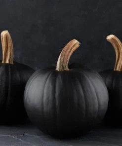 25 Black Pumpkin Seeds - Heirloom, Easy Grow, Garden Seeds - Image 1