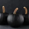 25 Black Pumpkin Seeds Heirloom – Easy Grow Vegetable Seeds - Image 1