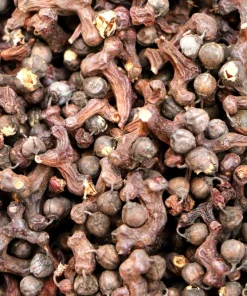 25 Japanese Raisin Tree Seeds - Edible Fruit, Oriental Honey Flowers - Image 7