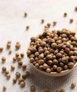 250 Leisure Cilantro Coriander Seeds - Herb Vegetable, Slow Bolt Variety - Image 6