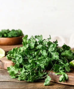 250 Leisure Cilantro Coriander Seeds - Herb Vegetable, Slow Bolt Variety - Image 7