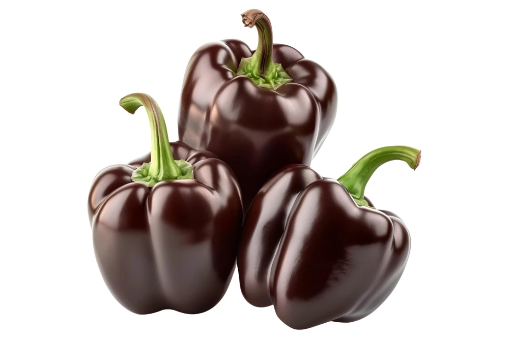 30 Chocolate Beauty Bell Pepper Seeds - Sweet Brown Capsicum Annuum - Vegetable Seeds - Image 5