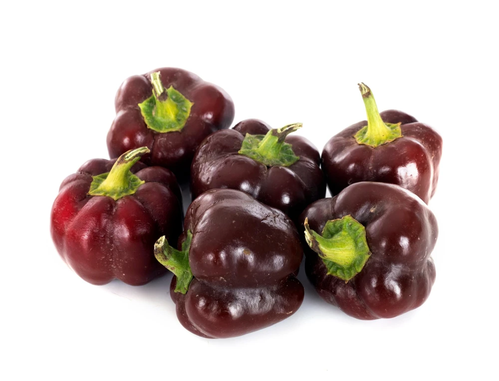 30 Chocolate Beauty Bell Pepper Seeds - Sweet Brown Capsicum Annuum - Vegetable Seeds - Image 6