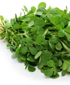300 Fenugreek Seeds - Trigonella Foenum-Graecum Herb & Flower Seeds - Image 3
