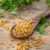 300 Fenugreek Seeds - Trigonella Foenum-Graecum Herb & Flower Seeds - Image 1