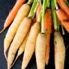 300 Lunar White Carrot Seeds - Crisp & Sweet Vegetable Seeds - Image 1