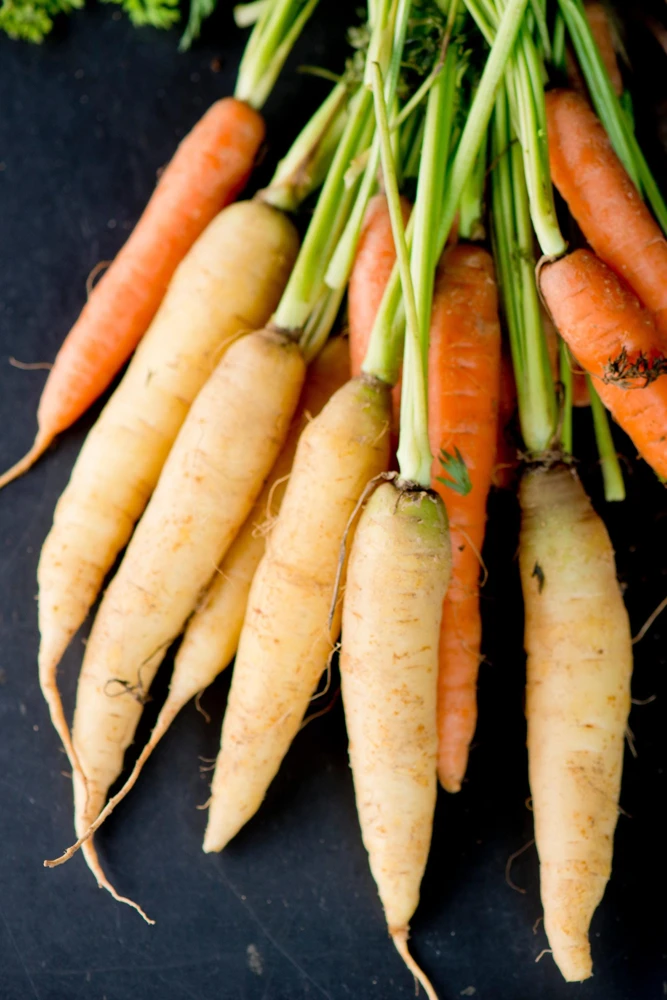 300 Lunar White Carrot Seeds - Crisp & Sweet Vegetable Seeds - Image 1