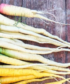 300 Lunar White Carrot Seeds - Crisp & Sweet Vegetable Seeds - Image 4