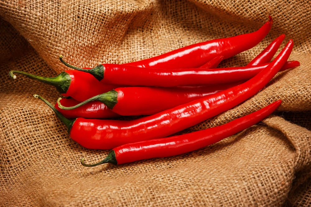 300 Red Cayenne Pepper Seeds - Hot Capsicum Annuum Vegetable Seeds - Image 4