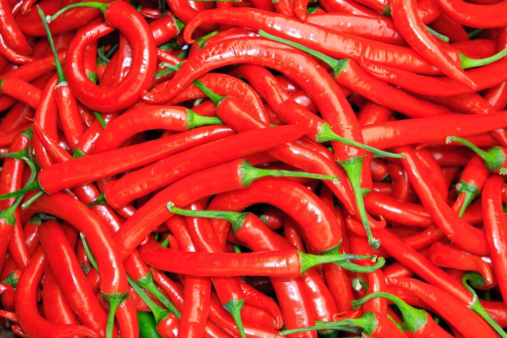 300 Red Cayenne Pepper Seeds - Hot Capsicum Annuum Vegetable Seeds - Image 6