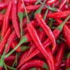 300 Red Cayenne Pepper Seeds - Hot Capsicum Annuum Vegetable Seeds - Image 1